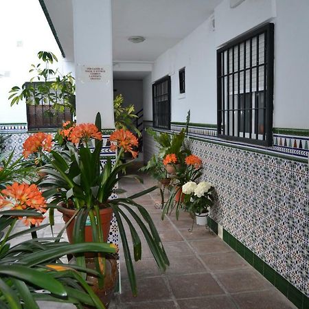 Nuevo Sueno Del Alcazar Apartment Cordoba Exterior photo
