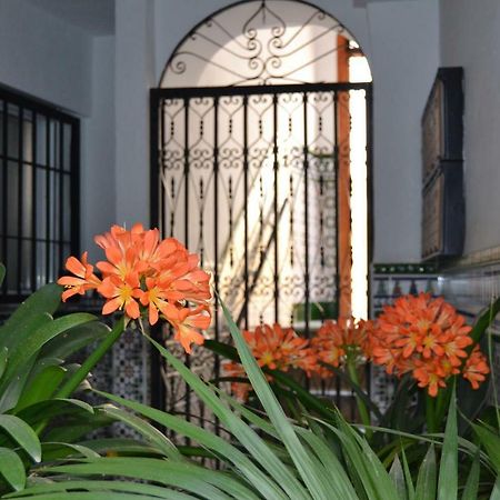 Nuevo Sueno Del Alcazar Apartment Cordoba Exterior photo