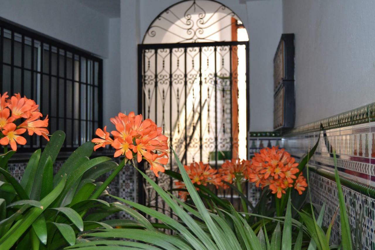 Nuevo Sueno Del Alcazar Apartment Cordoba Exterior photo