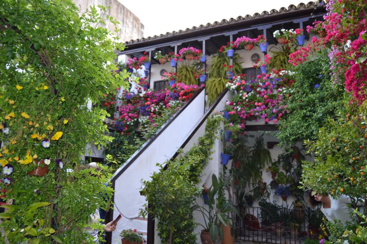 Nuevo Sueno Del Alcazar Apartment Cordoba Exterior photo